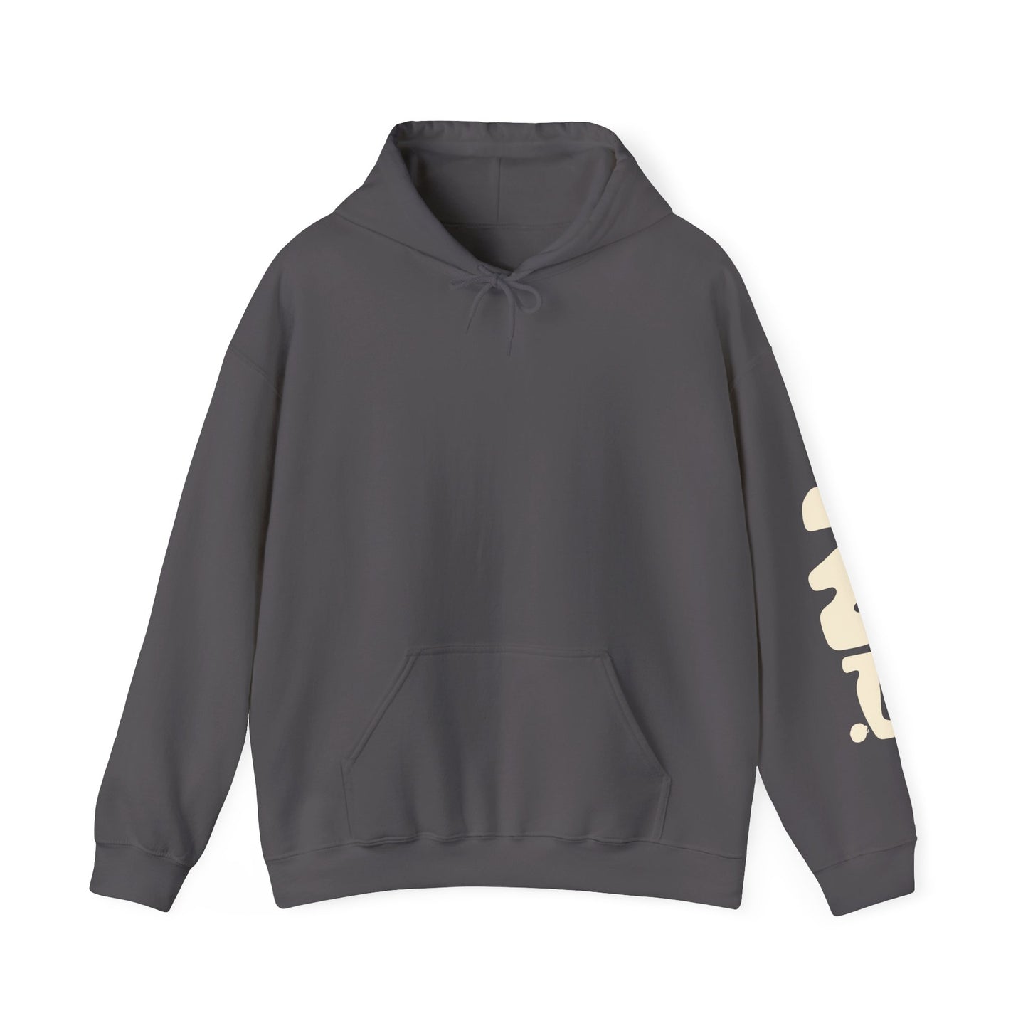 RWP Unisex Hoodie in Charcoal