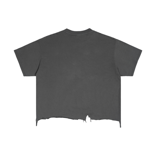 Pegasus Vintage Wash Boxy Distressed T-Shirt (Unisex)