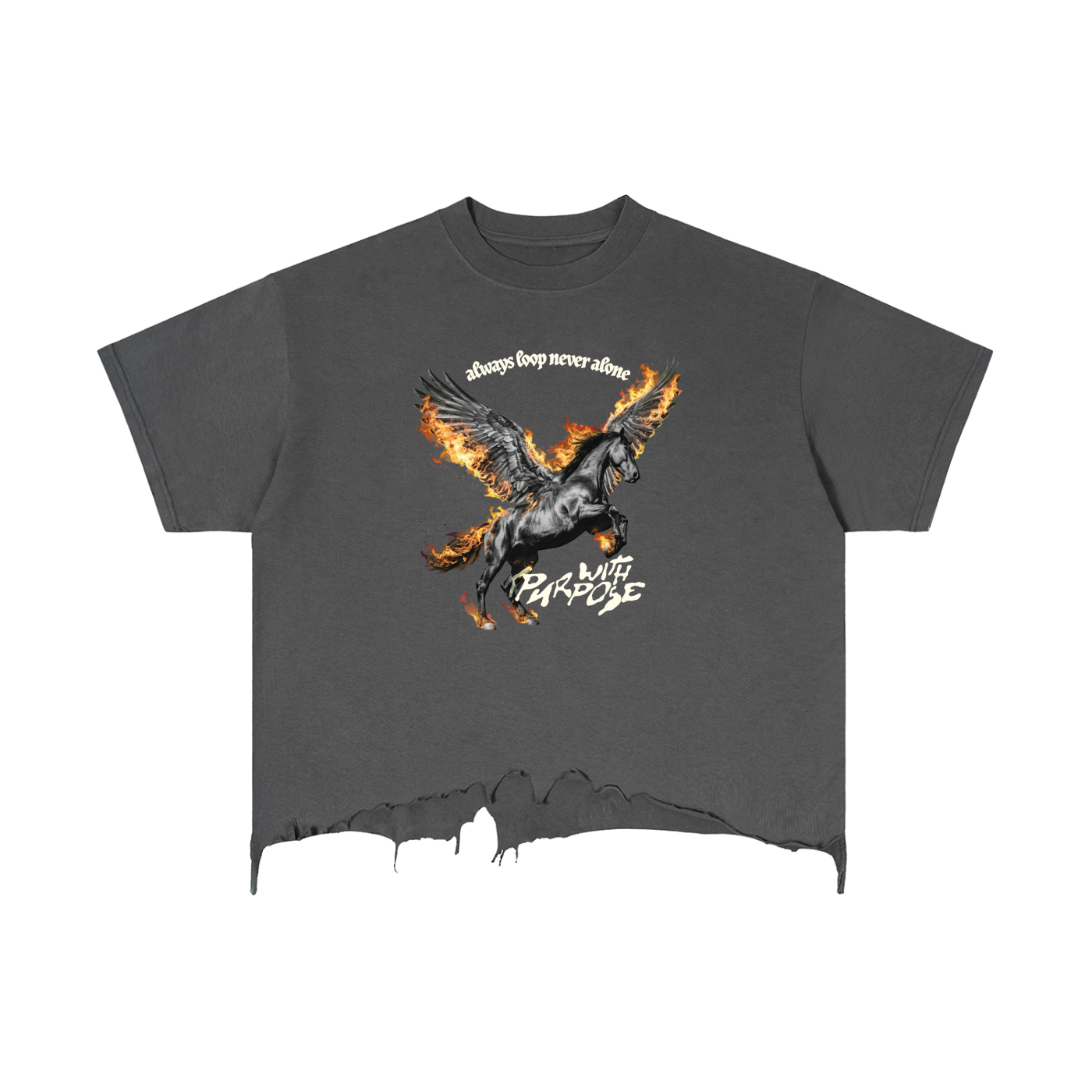 Pegasus Vintage Wash Boxy Distressed T-Shirt (Unisex)