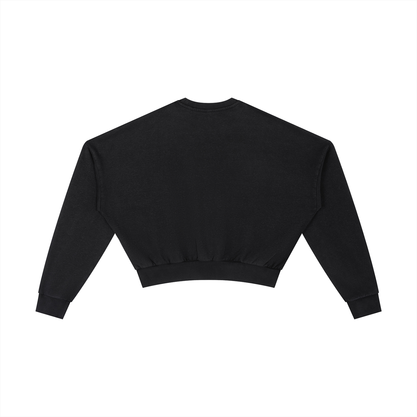 Apollo Vintage Washed Cropped Sweatshirt in Black (Womens)