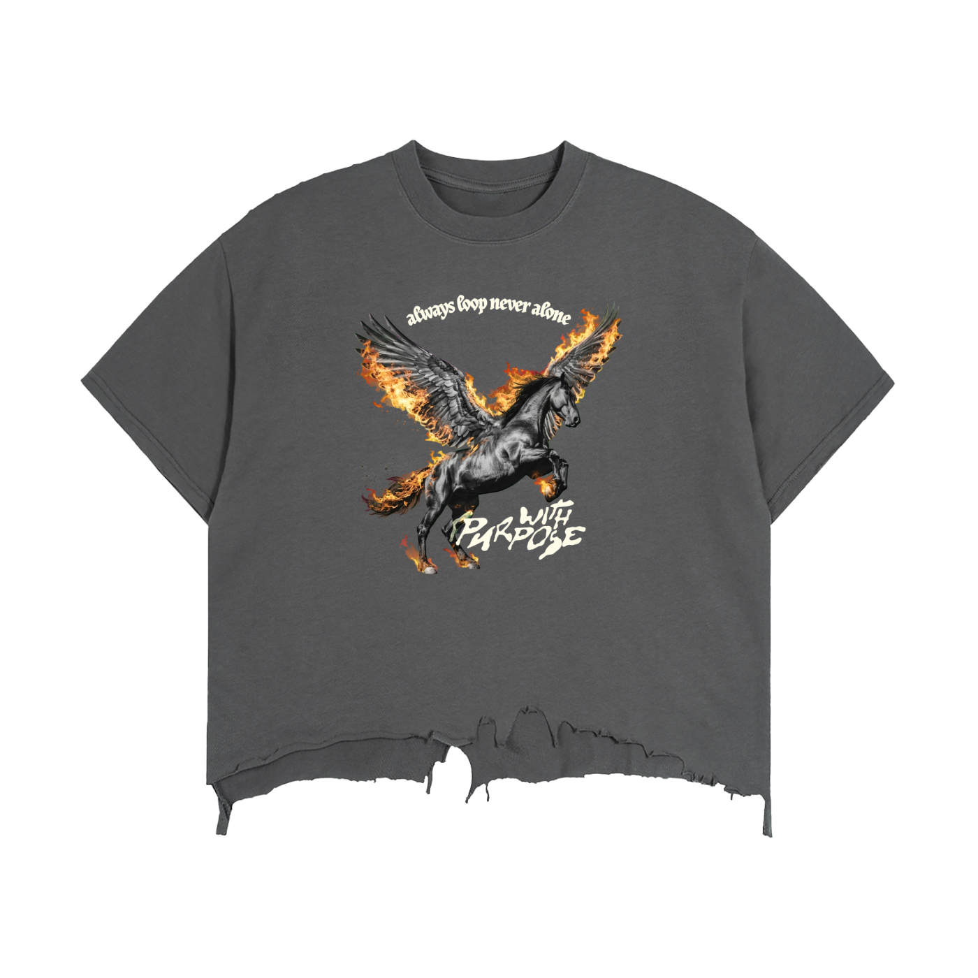 Pegasus Vintage Wash Boxy Distressed T-Shirt (Unisex)
