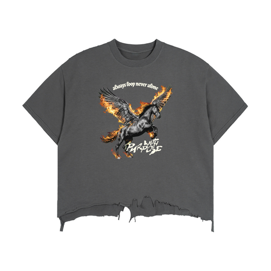 Pegasus Vintage Wash Boxy Distressed T-Shirt (Unisex)